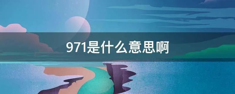 971是什么意思啊