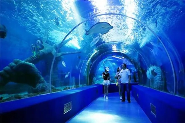 世界上最大墓地是哪个 和平谷（五百多万人长眠于此） 