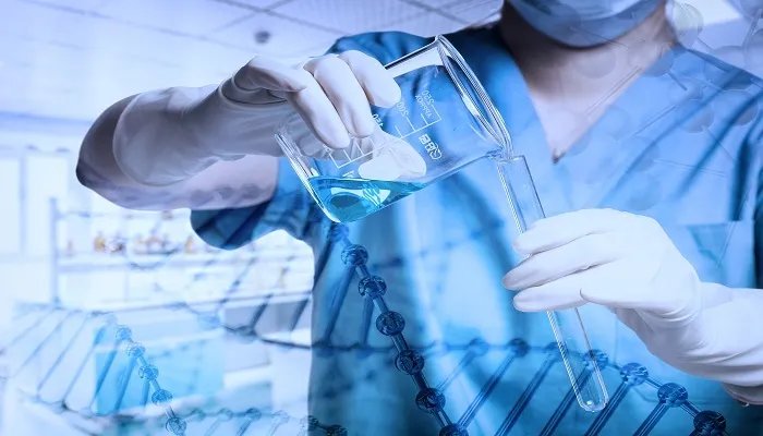 盐的化学性质是什么