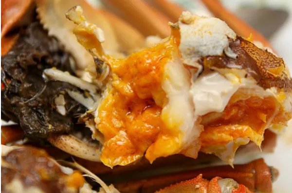 蟹膏究竟是什么？