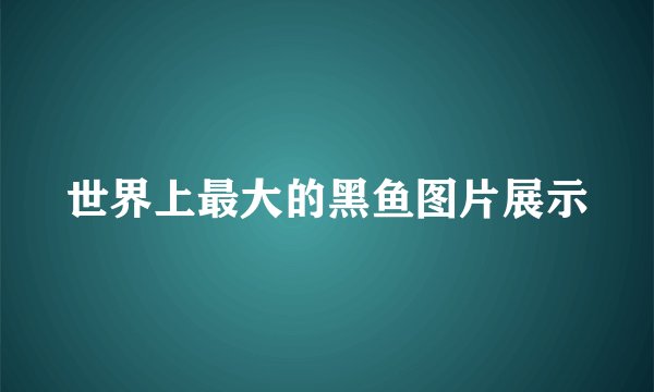 世界上最大的黑鱼图片展示