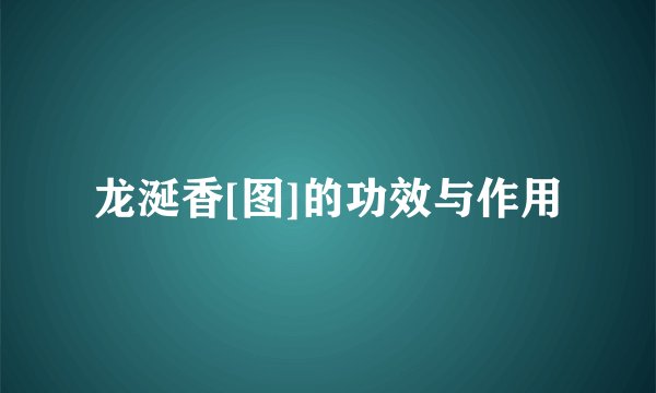龙涎香[图]的功效与作用