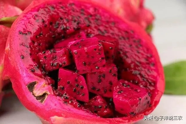 火龙果的种植方法？