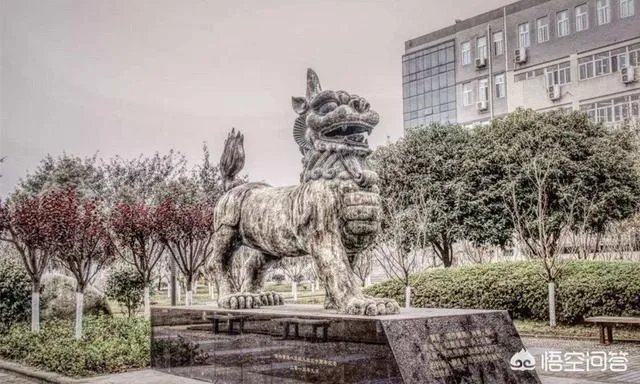 西南政法大学到底怎么样？