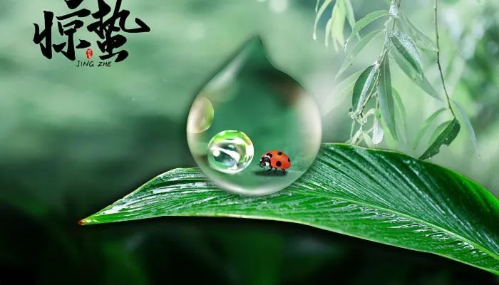 2022年惊蛰是几月几日 2022年惊蛰是哪一天