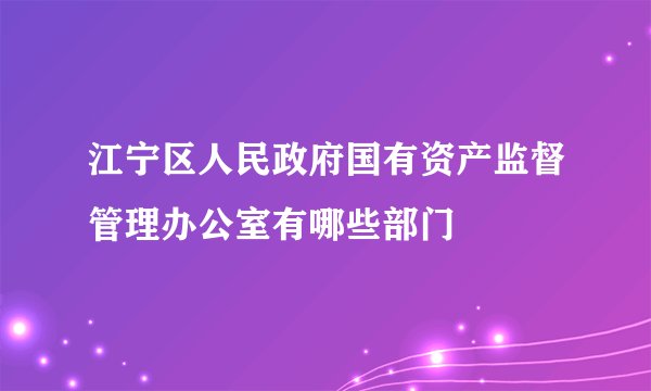 江宁区人民政府国有资产监督管理办公室有哪些部门