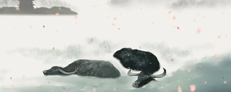 关羽是什么人 关羽是哪里人