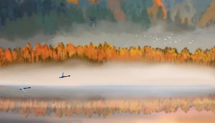 白银盘里一青螺的上一句 白银盘里一青螺是哪首古诗