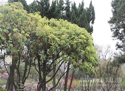 小腿抽筋怎么办