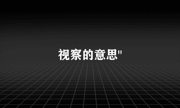 视察的意思