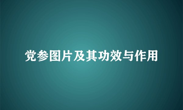 党参图片及其功效与作用