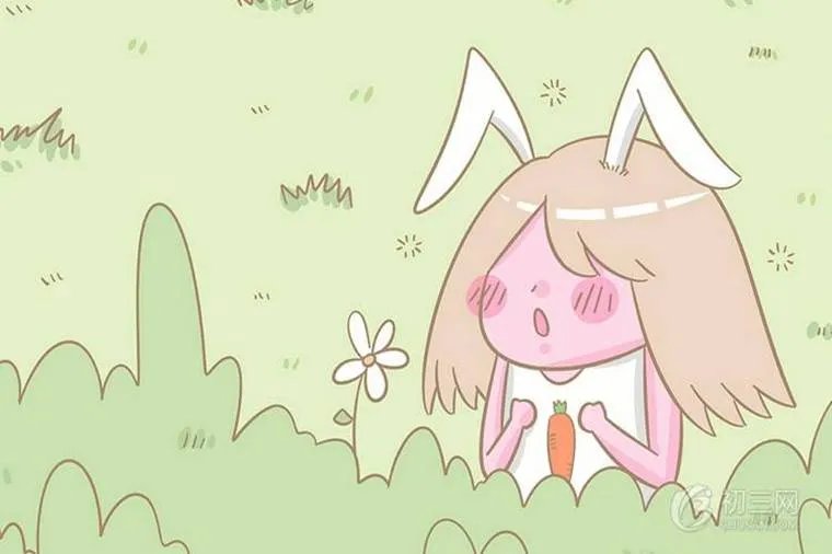 棉花姑娘课文原文及赏析