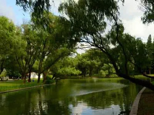 青浦婚纱摄影哪家好 上海拍婚纱照外景地推荐