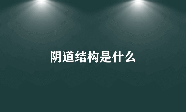 阴道结构是什么