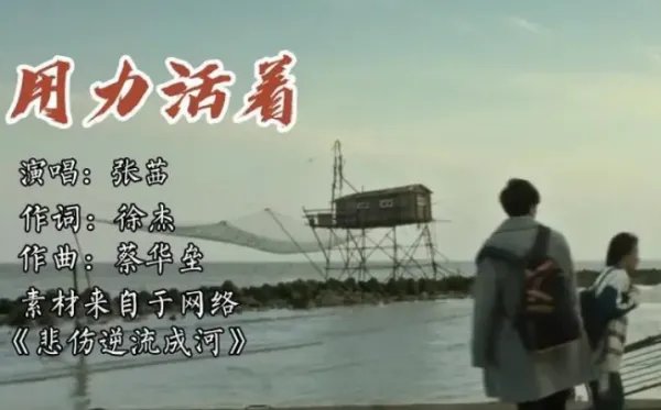 我们都在用力的活着是什么歌名