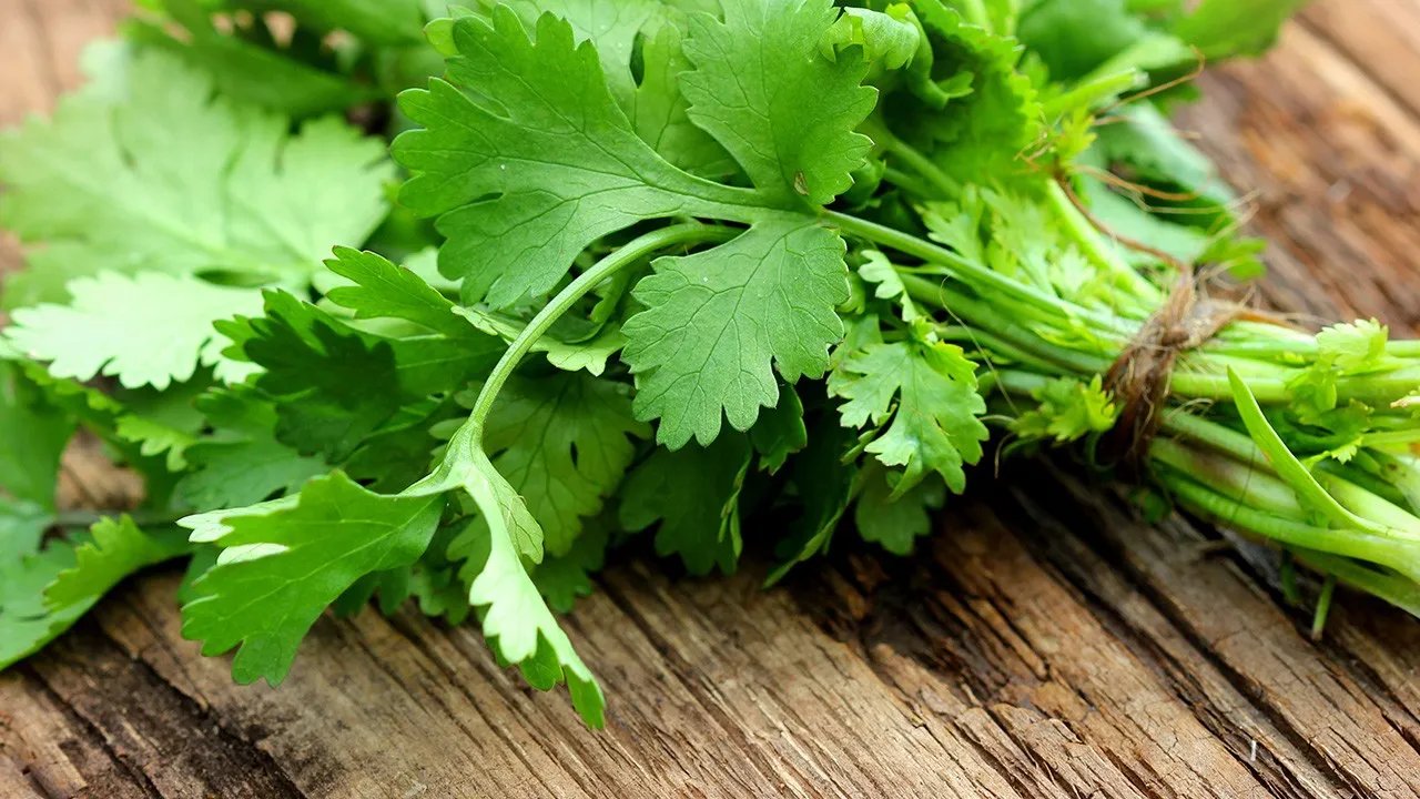 香菜的功效 香菜营养价值有哪些