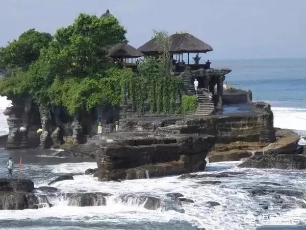 印尼总统大学怎么样？