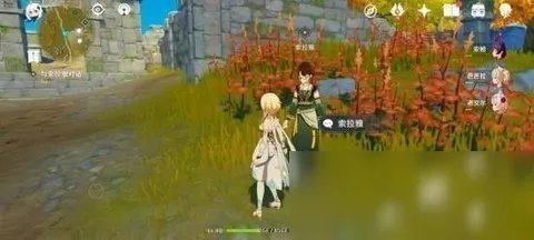 《原神》宝藏归离最后的遗迹在哪 宝藏归离最后的遗迹位置分享