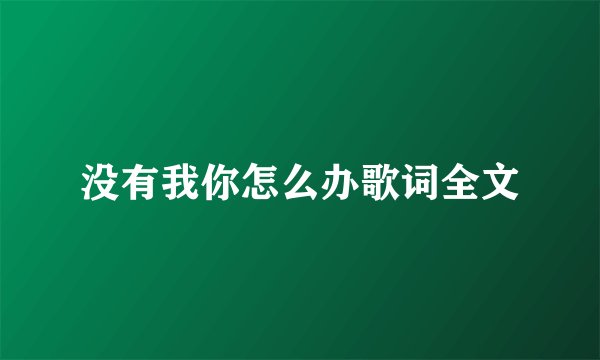 没有我你怎么办歌词全文