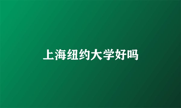 上海纽约大学好吗