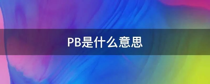 PB是什么意思