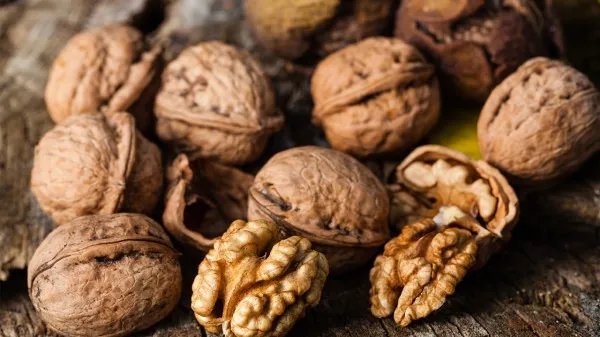 日常壮阳的食物有哪些？壮阳食物家常菜谱大全