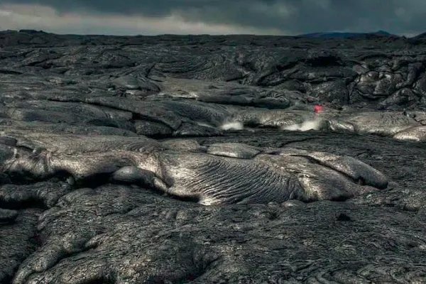 bbc十大经典纪录片都有什么？