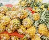 河北小伙理菠萝头卖菠萝，年轻人创业最重要的是什么？