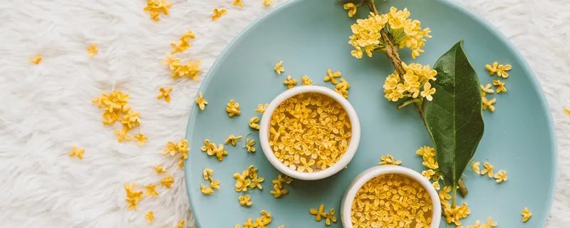 描写桂花的诗句 描写桂花的诗句有哪些