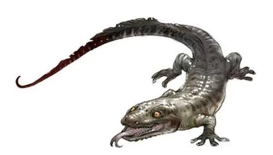【图】鬼吹灯霸王蝾螈是什么?史前霸王蝾螈的来历(已灭绝)