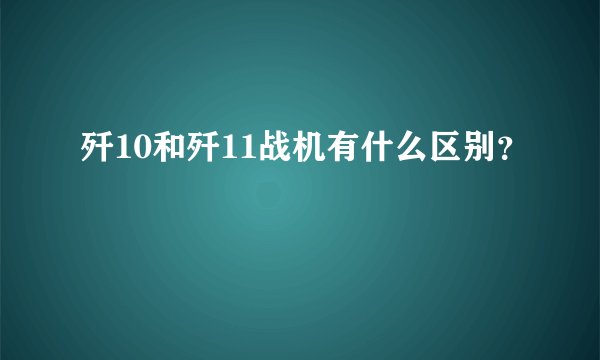 歼10和歼11战机有什么区别？