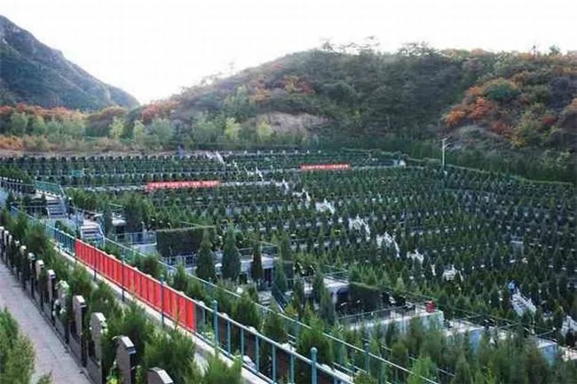 世界上最大墓地是哪个 和平谷（五百多万人长眠于此） 
