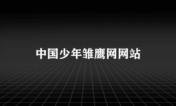 中国少年雏鹰网网站