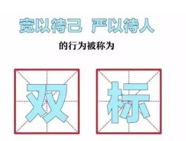 双标是什么意思