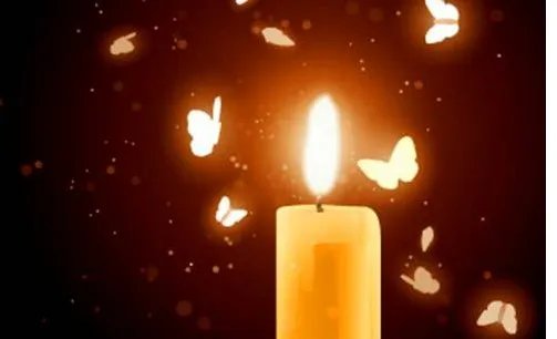 飞蛾为什么扑火?