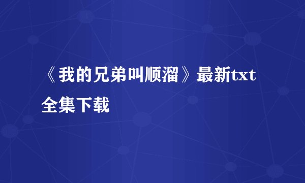 《我的兄弟叫顺溜》最新txt全集下载