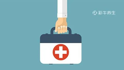 鸡腰子的功效与作用