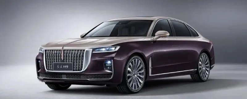 红旗hs9有燃油版吗,什么时候上市?,红旗hs9有燃油版吗