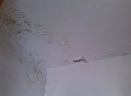 房屋漏水怎么处理 4种方法来教你解决漏水烦恼