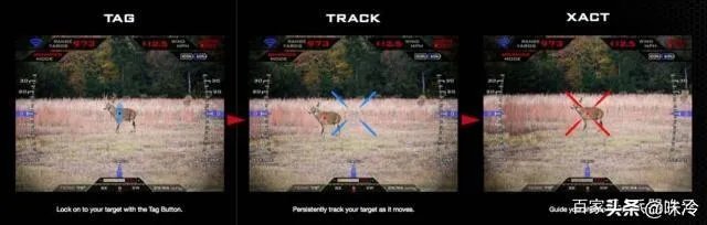 中国的10式狙击步枪使用的瞄准镜为什么那么大，有什么优点吗？