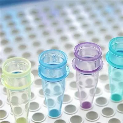 白蛋白高是怎么回事