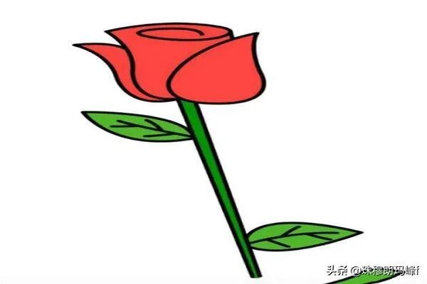 玫瑰花简笔画怎么画？