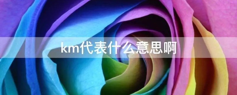 km代表什么意思啊