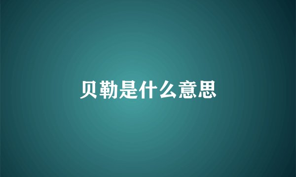贝勒是什么意思