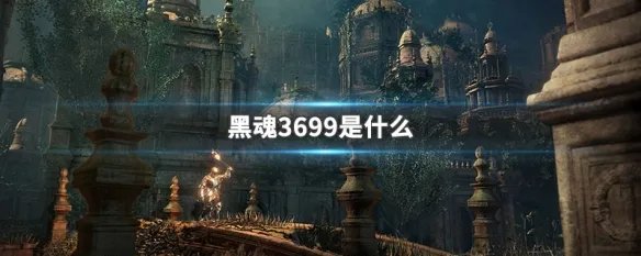 黑魂3699是什么