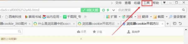 Cookie是什么意思？