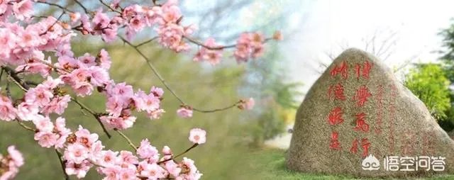 滁州学院怎么样？