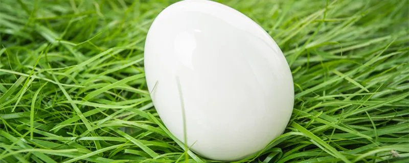 鹅蛋煮多久能煮熟 鹅蛋煮多久能煮熟透