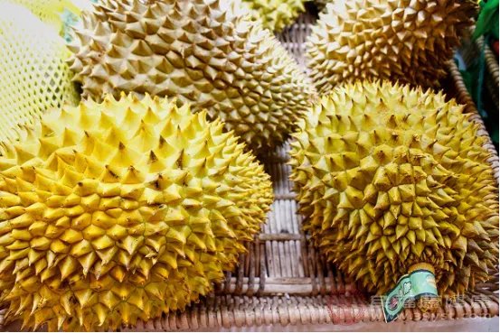 孕妇可以吃榴莲吗