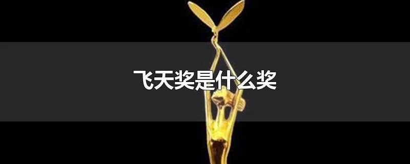 飞天奖是什么奖